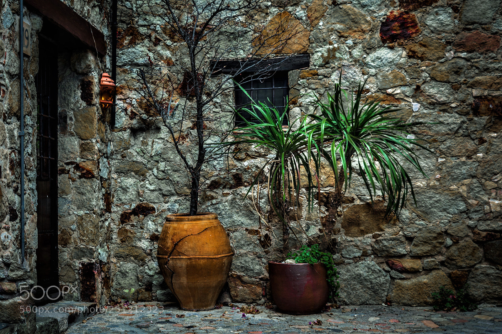 Nikon D5200 sample photo. Untitled photography