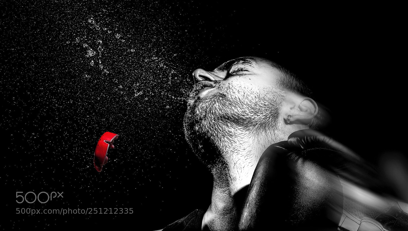Canon EOS 50D sample photo. Knockout photography