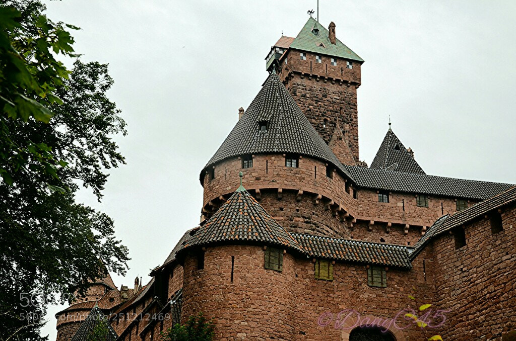 Nikon D5100 sample photo. Alsace (22) photography