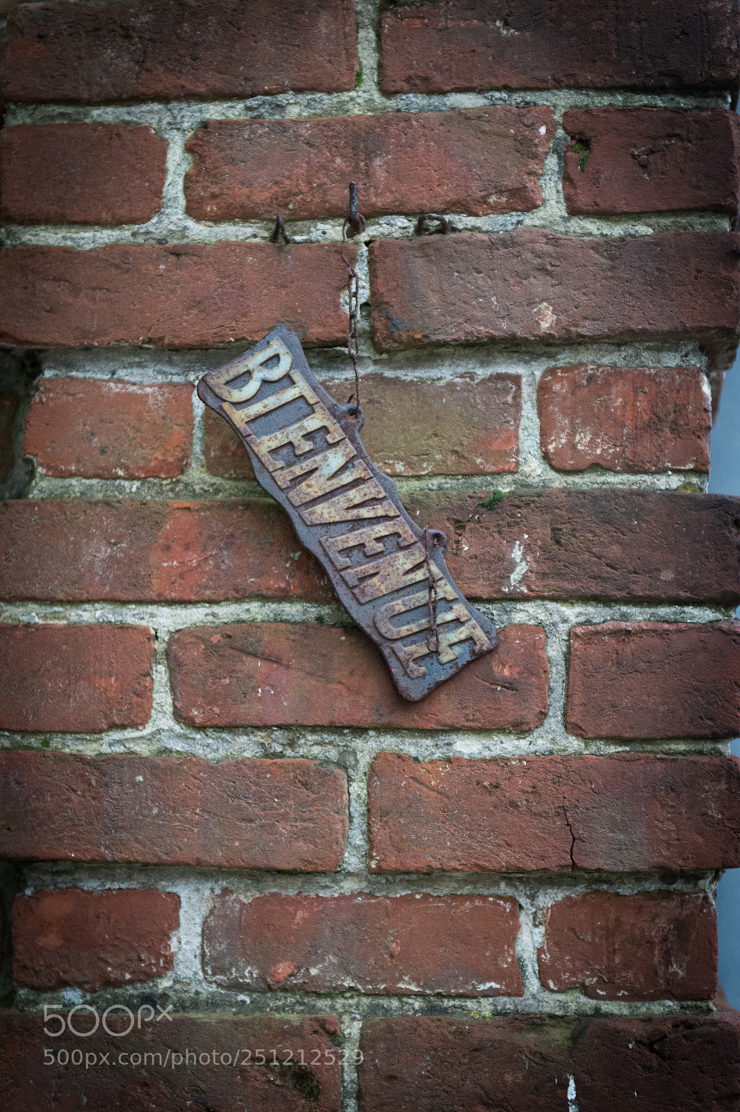 Nikon D4 sample photo. La brocante d'axelle photography