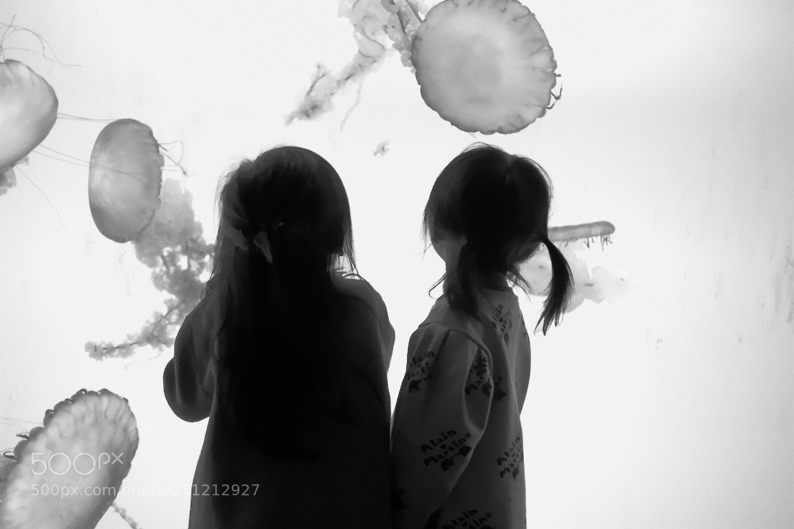 Fujifilm X-T2 sample photo. Untitled photography