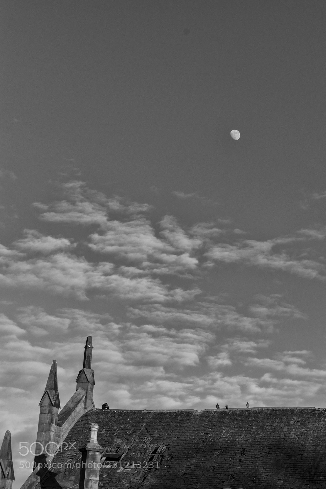 Nikon D3300 sample photo. Soothsayers photography