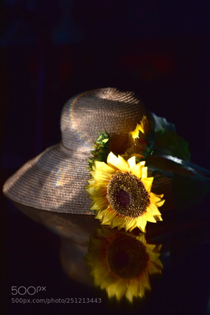 Nikon D810 sample photo. The hat & the sunflower photography