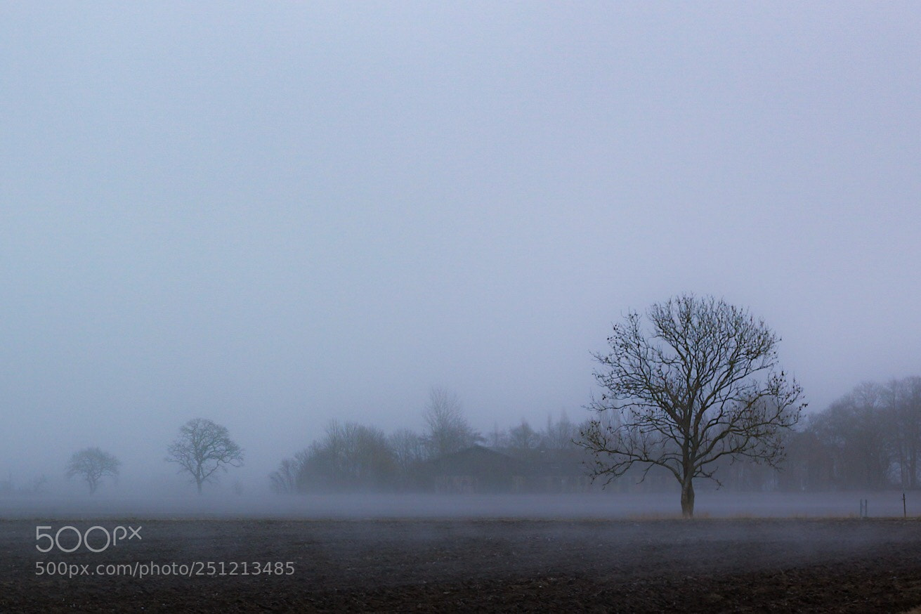 Canon EOS 70D sample photo. Winter in denmark  photography