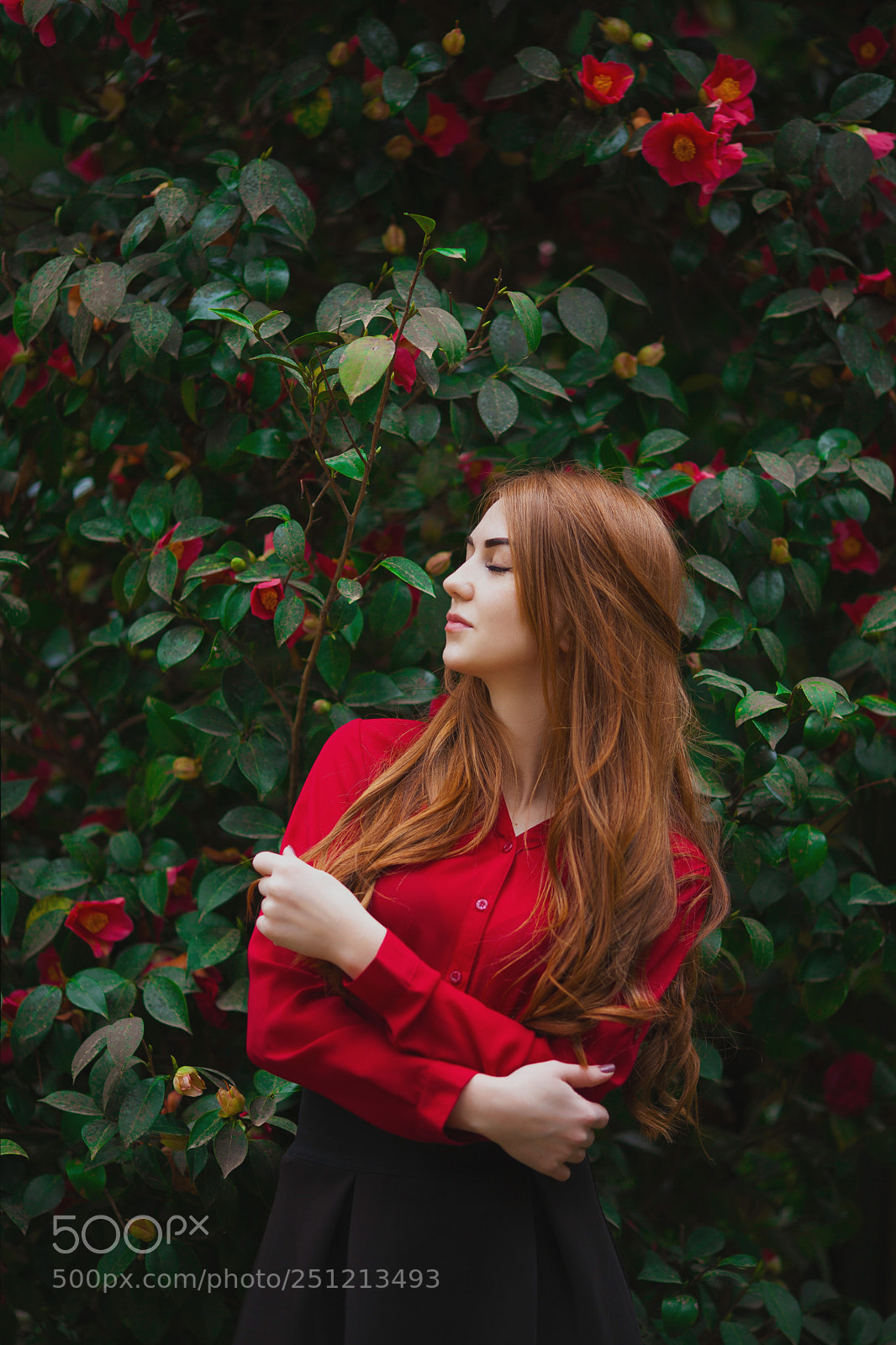 Canon EOS 5D Mark II sample photo. Red photography