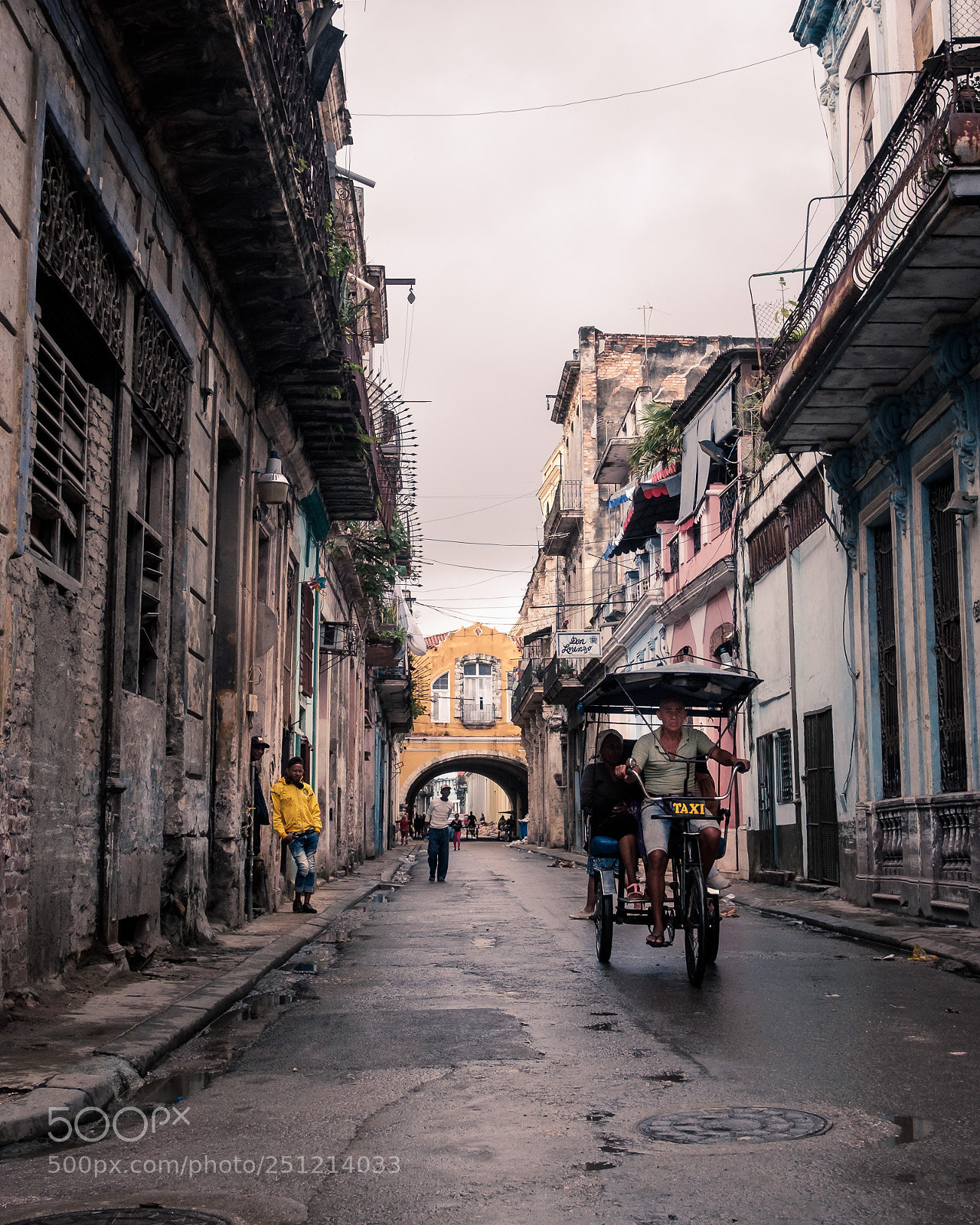 Fujifilm X-T2 sample photo. Havana yellows photography