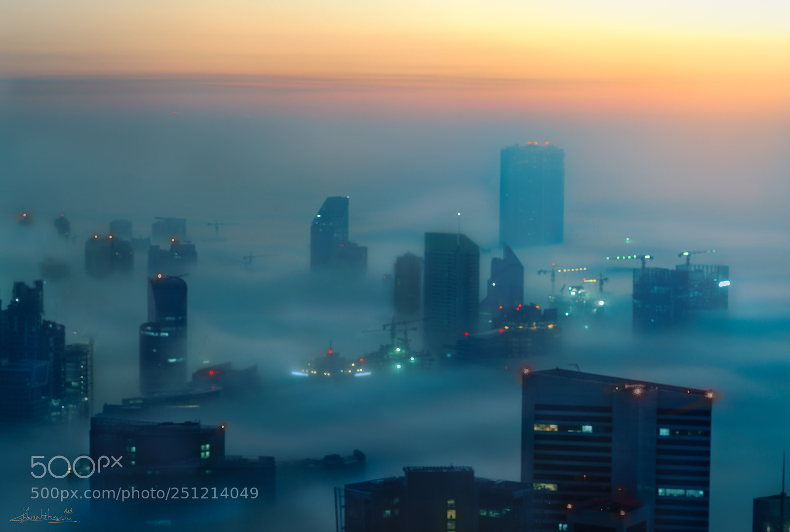 Sony a7R II sample photo. Fog photography