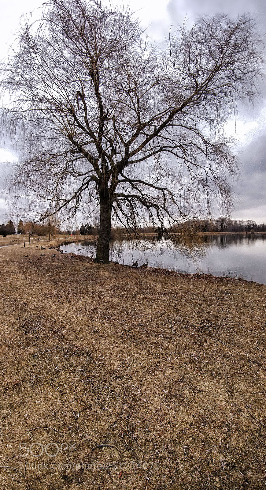LG G5 sample photo. Centennial park photography