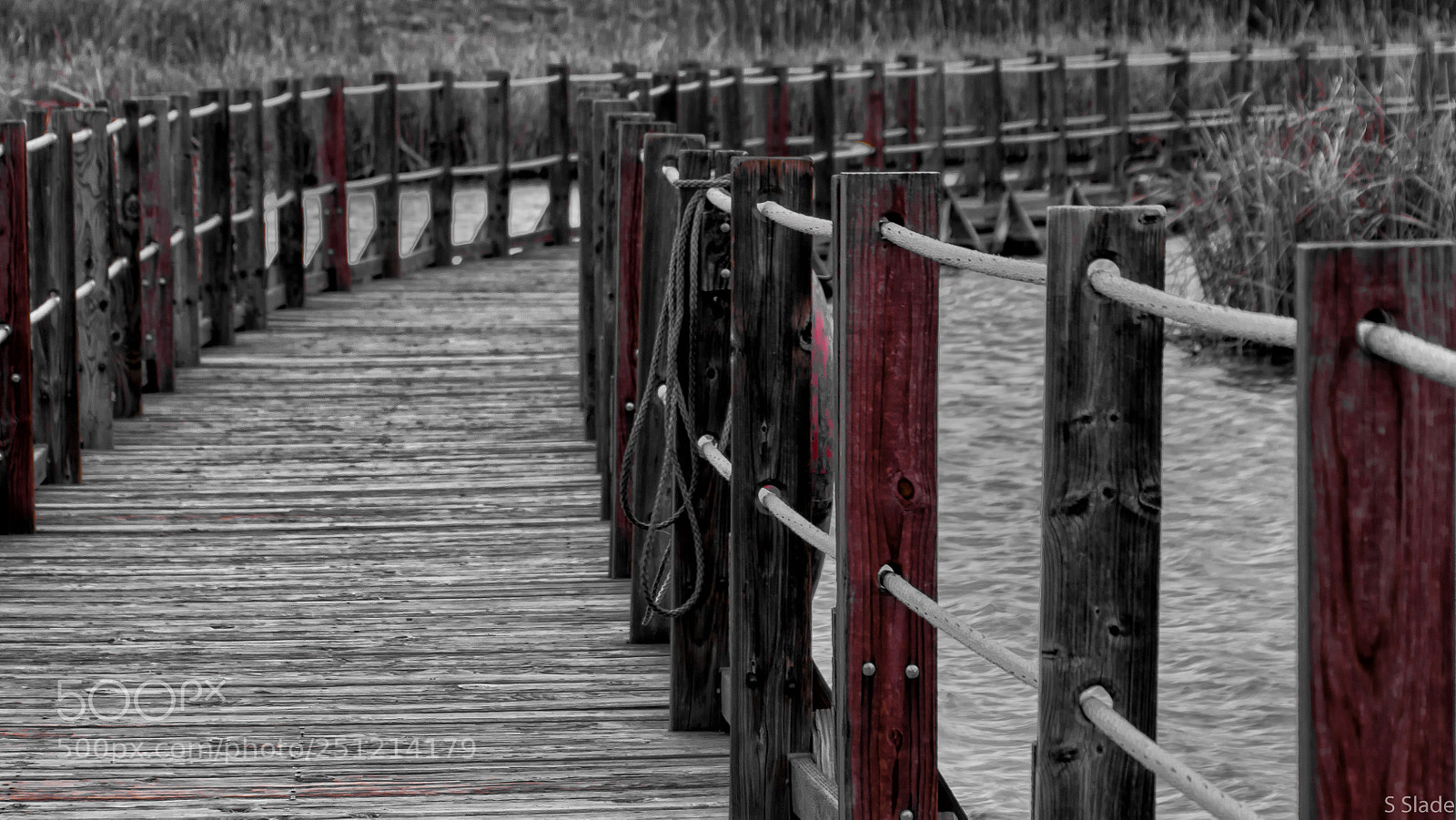 Nikon D5000 sample photo. Bridge over troubled waters photography