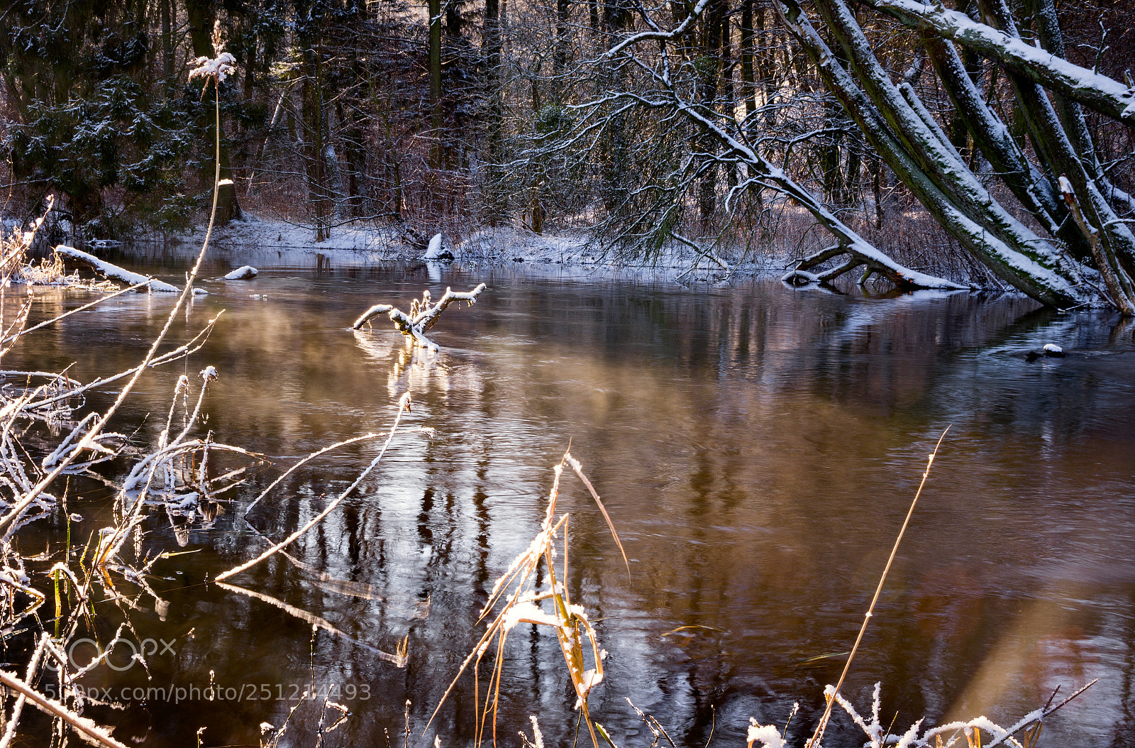 Pentax K-5 sample photo. Wierzyca river gorge... photography