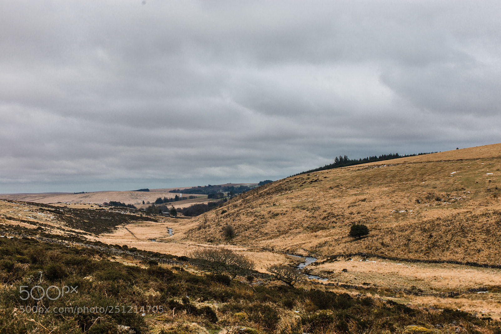 Nikon D800 sample photo. Dartmoor photography