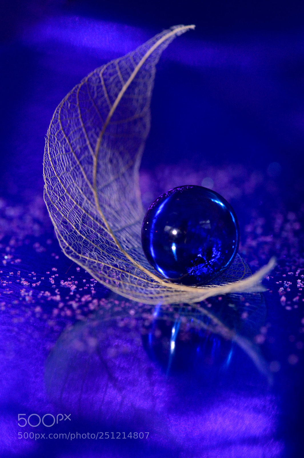 Nikon D3200 sample photo. In the middle of photography