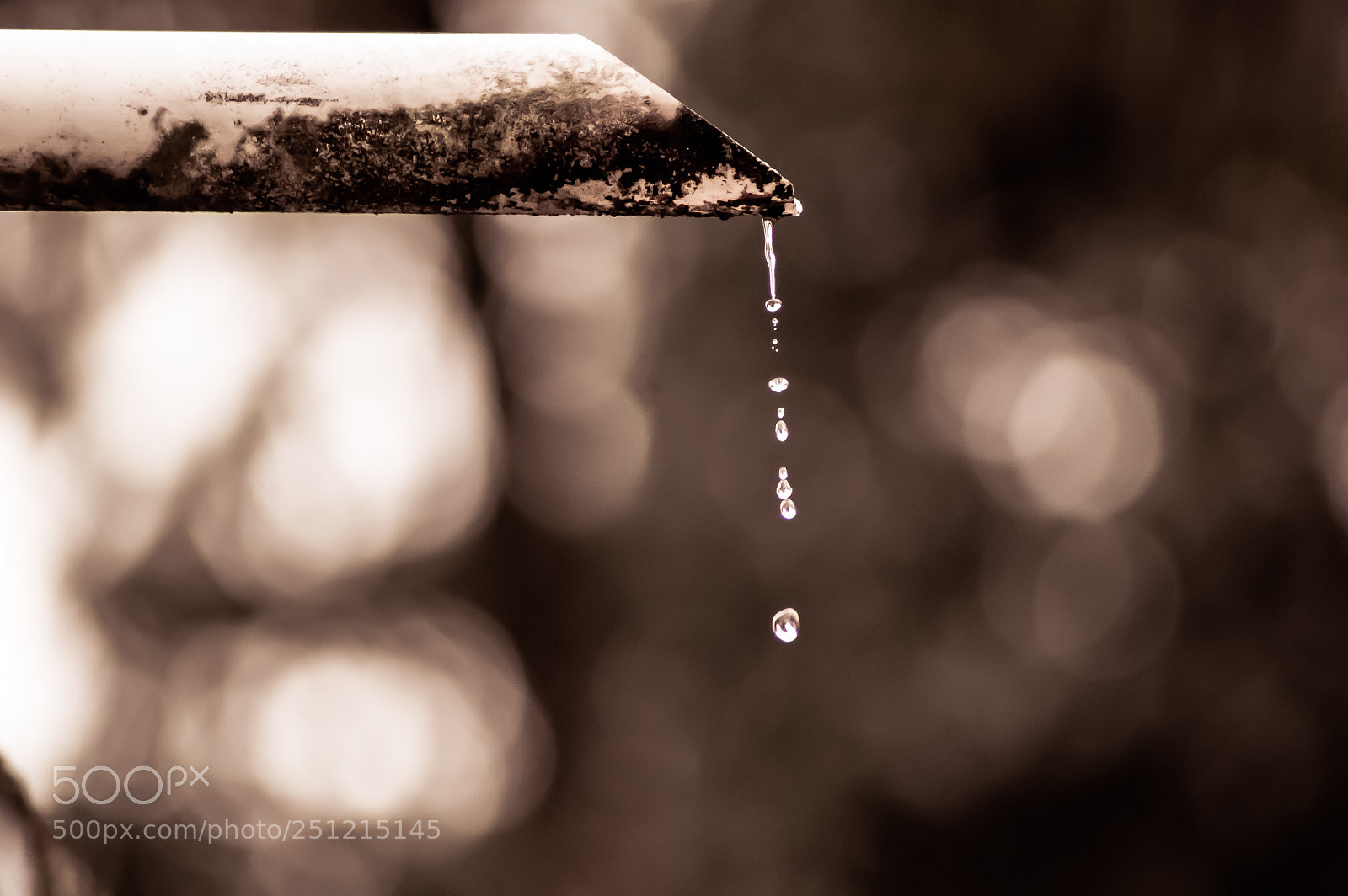 Nikon D3200 sample photo. Gotas. photography