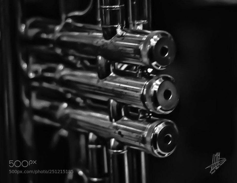 Canon EOS 600D (Rebel EOS T3i / EOS Kiss X5) sample photo. Trompeta / trumpet photography