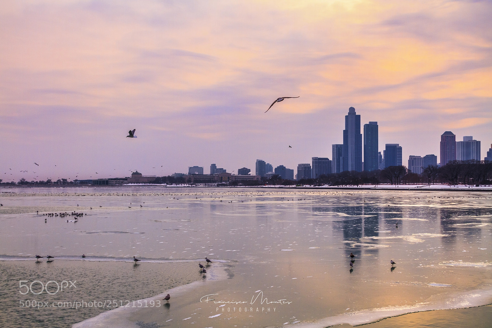 Canon EOS 7D sample photo. Frozen lake michigan photography