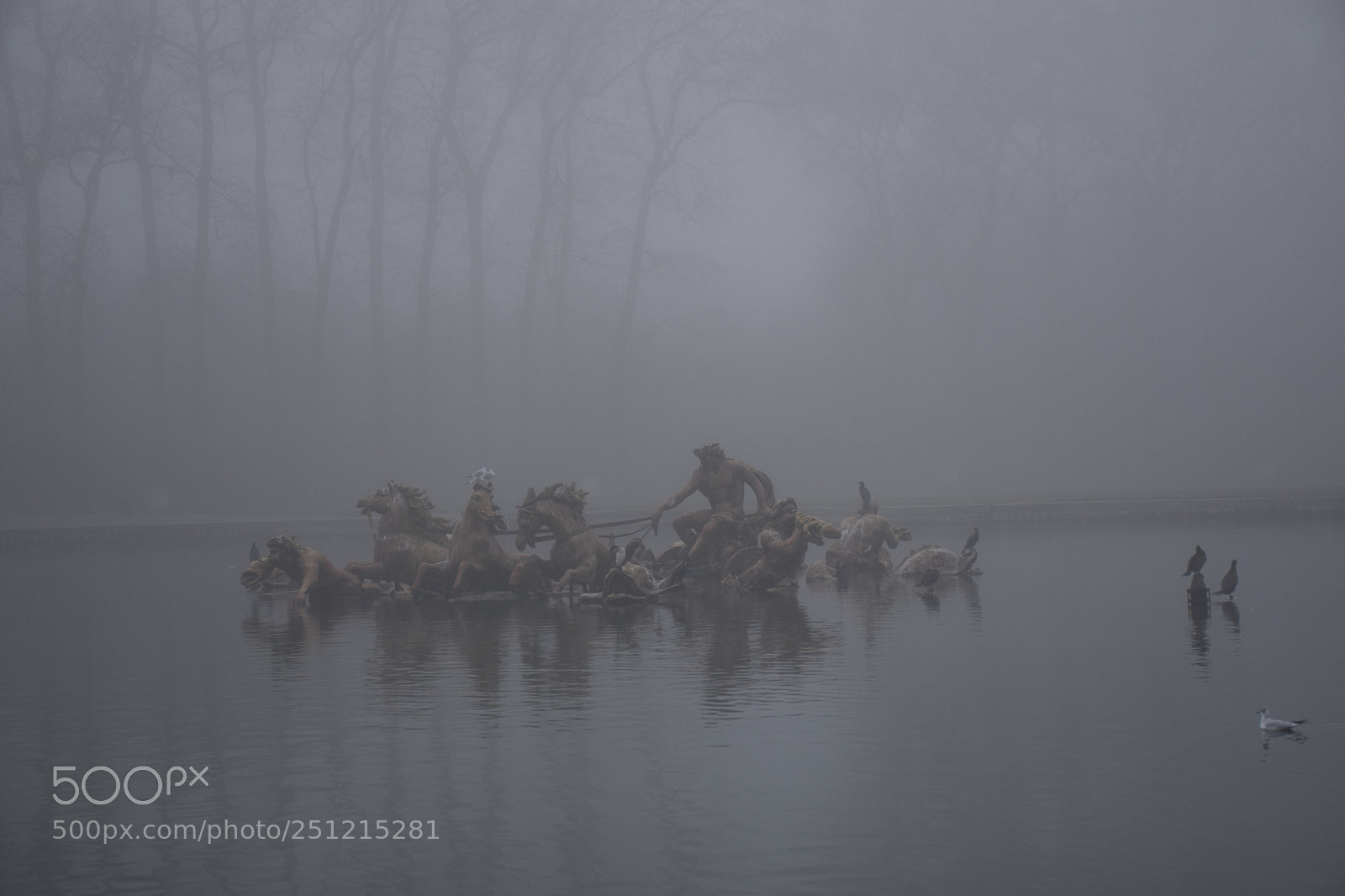 Nikon D5300 sample photo. Foggy day in the photography