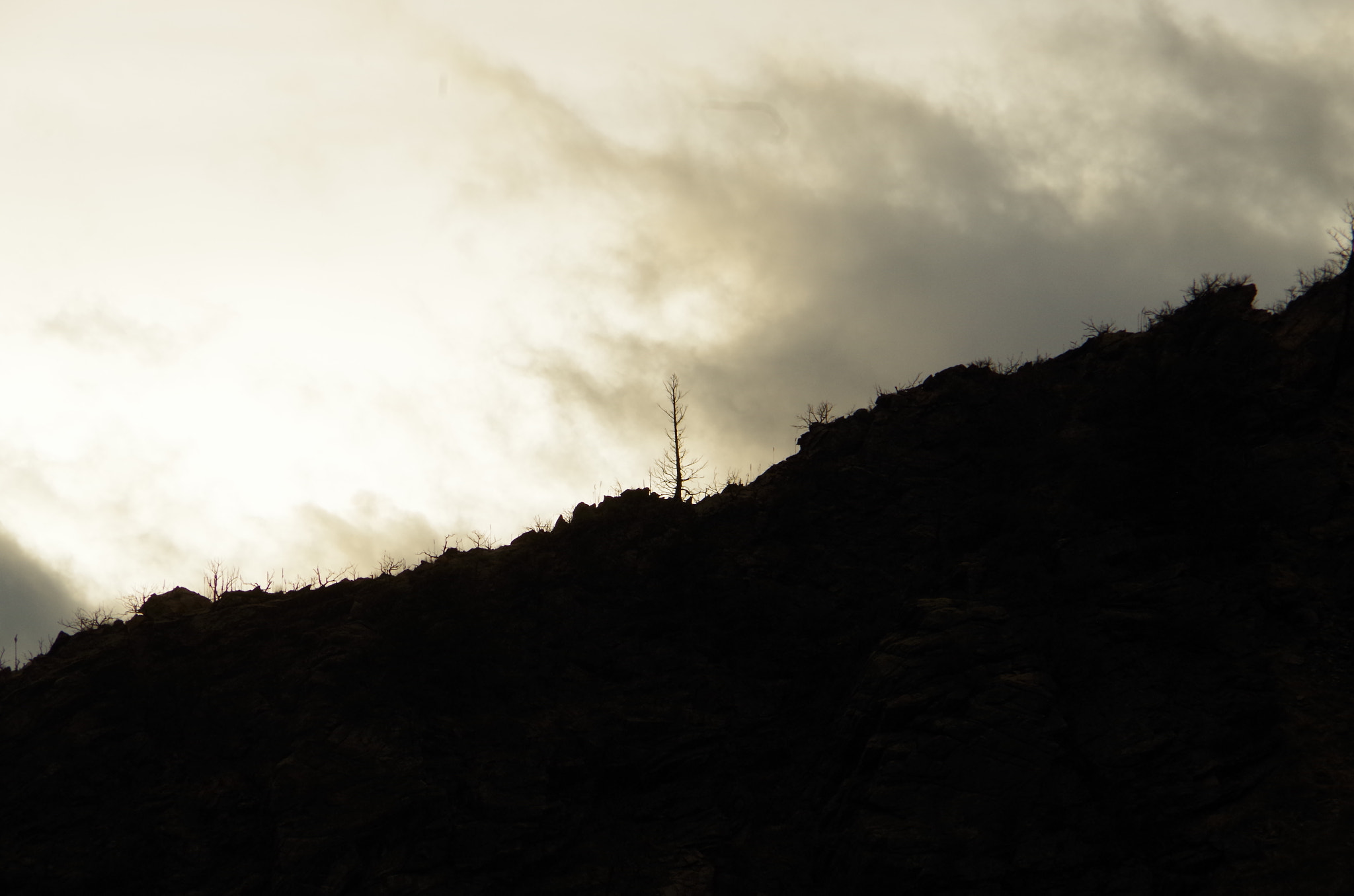 Pentax K-50 sample photo. Lonely pushing above photography