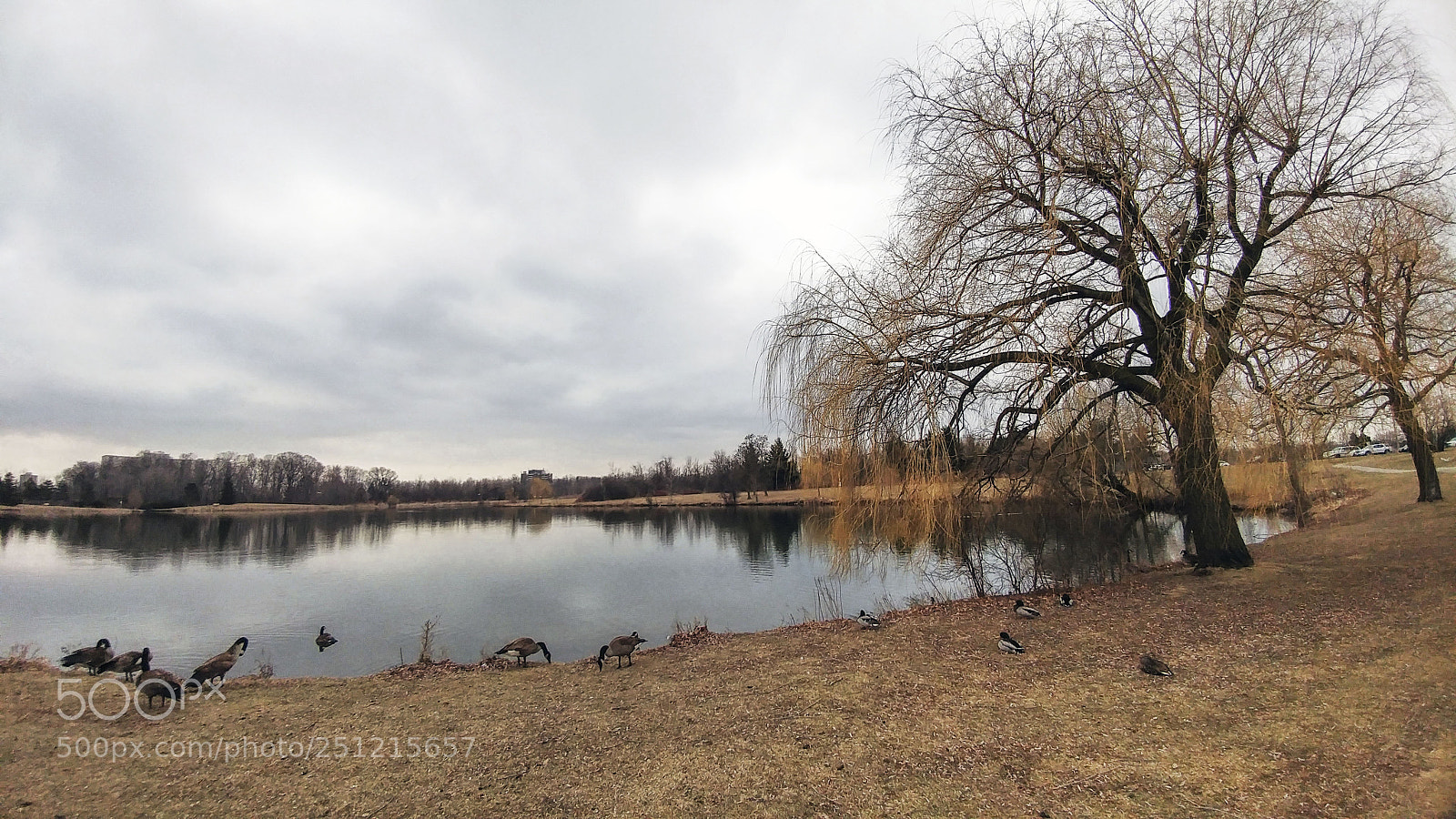 LG G5 sample photo. Centennial park photography
