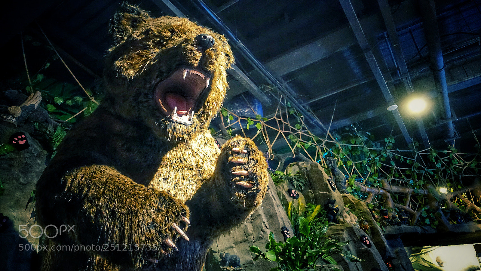 Sony Cyber-shot DSC-RX100 III sample photo. Angry bear photography