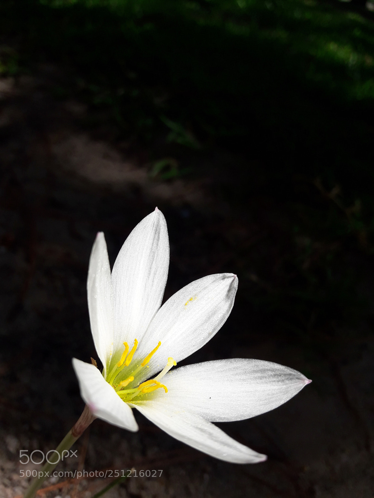 Samsung Galaxy J7 Neo sample photo. Untitled photography