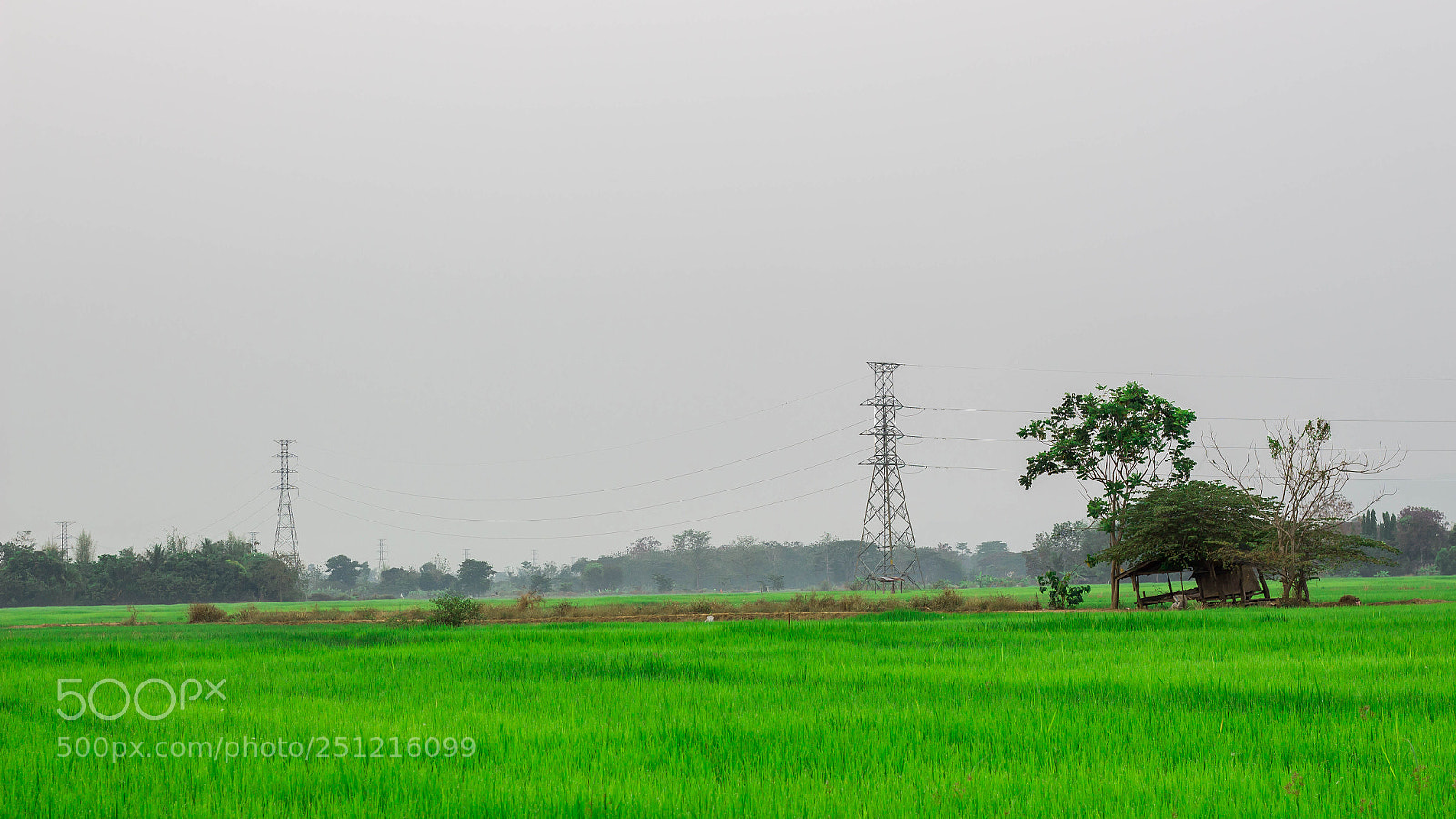 Canon EOS 700D (EOS Rebel T5i / EOS Kiss X7i) sample photo. Hut in cornfield thailand photography
