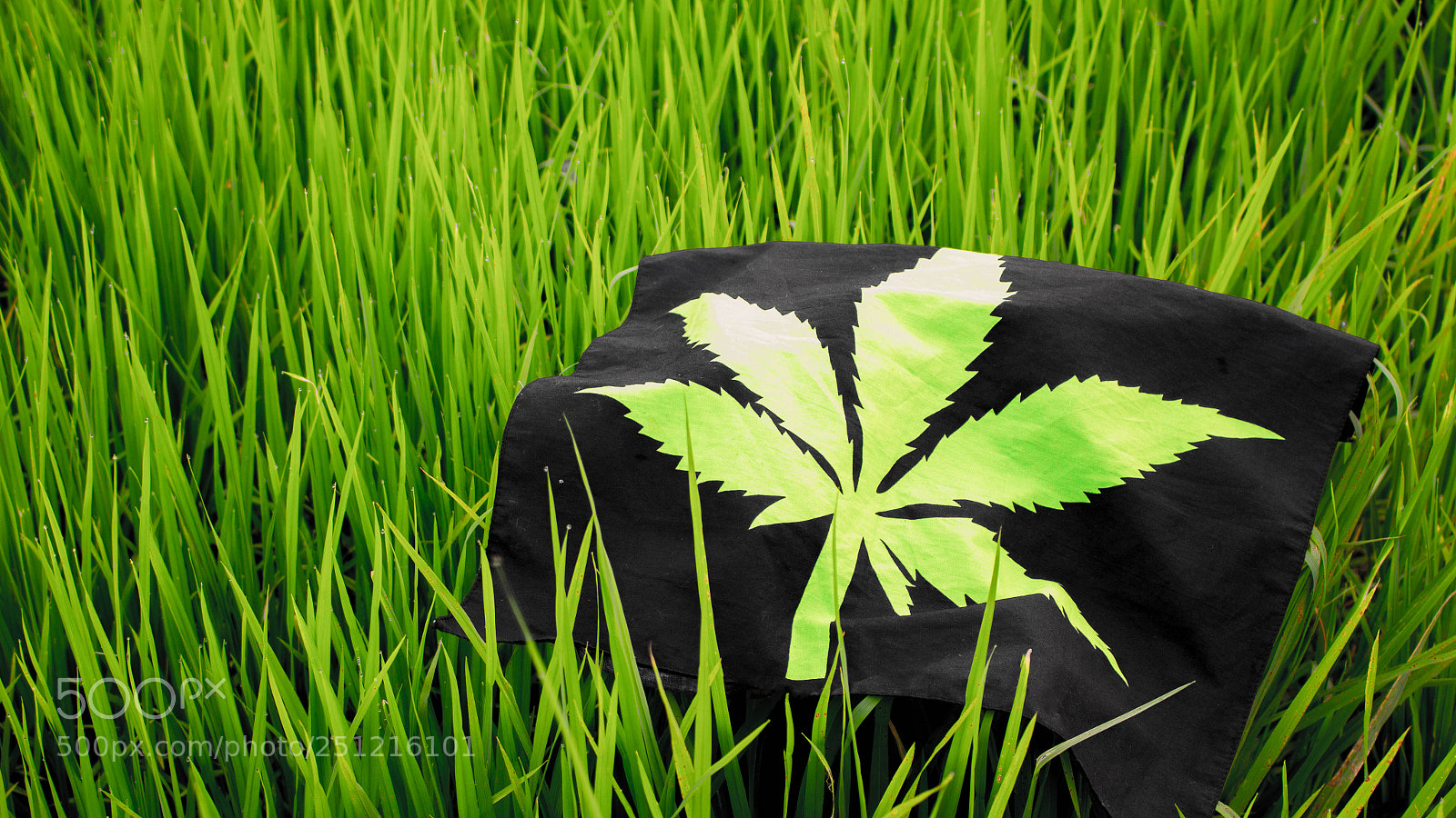 Canon EOS 700D (EOS Rebel T5i / EOS Kiss X7i) sample photo. Flag marijuana blur freedom photography