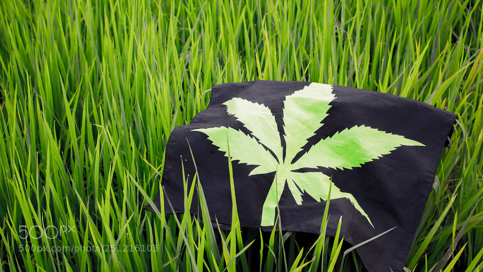 Canon EOS 700D (EOS Rebel T5i / EOS Kiss X7i) sample photo. Flag marijuana blur freedom photography