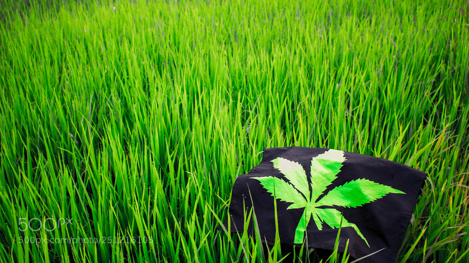 Canon EOS 700D (EOS Rebel T5i / EOS Kiss X7i) sample photo. Flag marijuana blur freedom photography