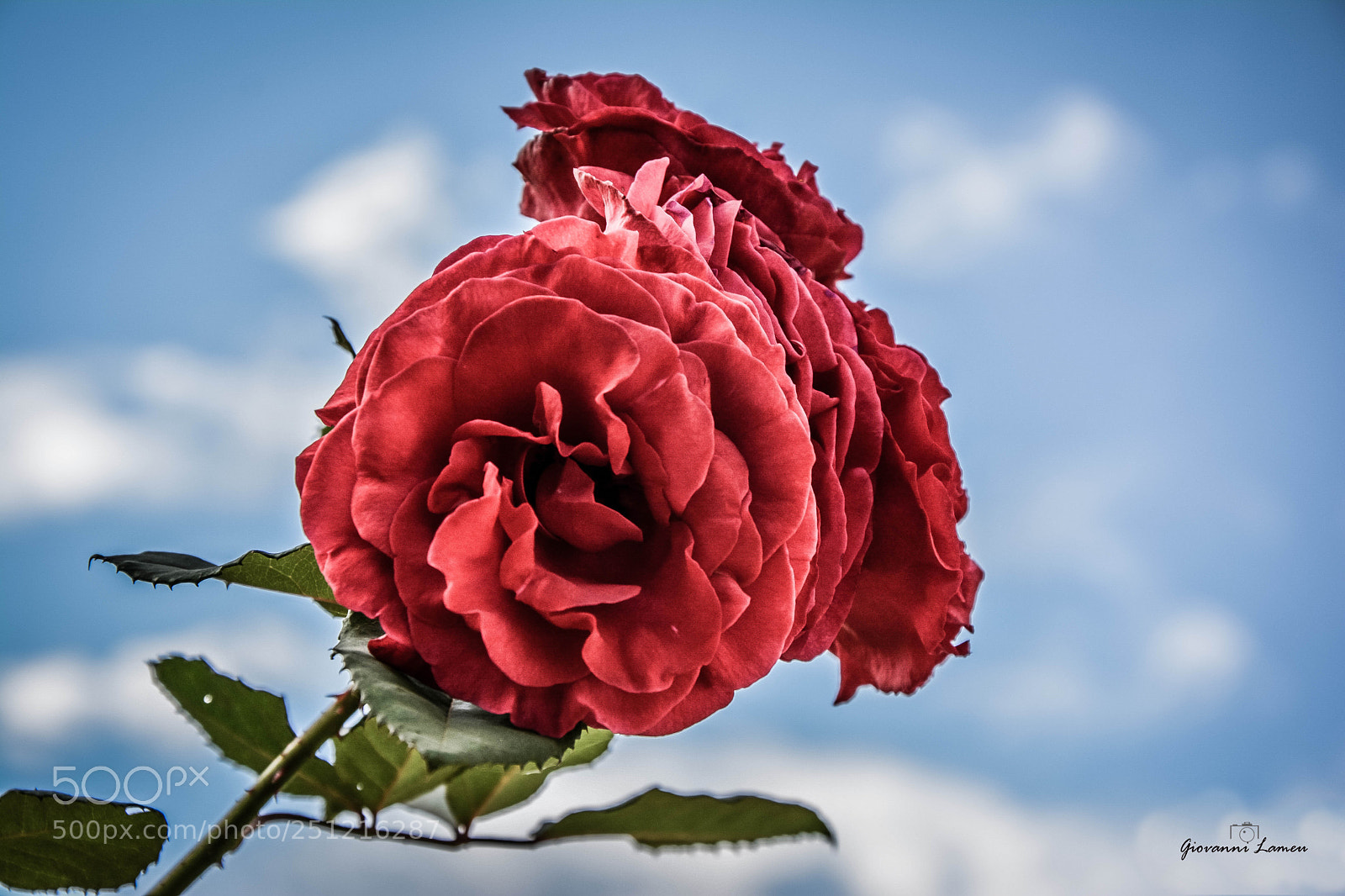 Nikon D5200 sample photo. Dsc photography