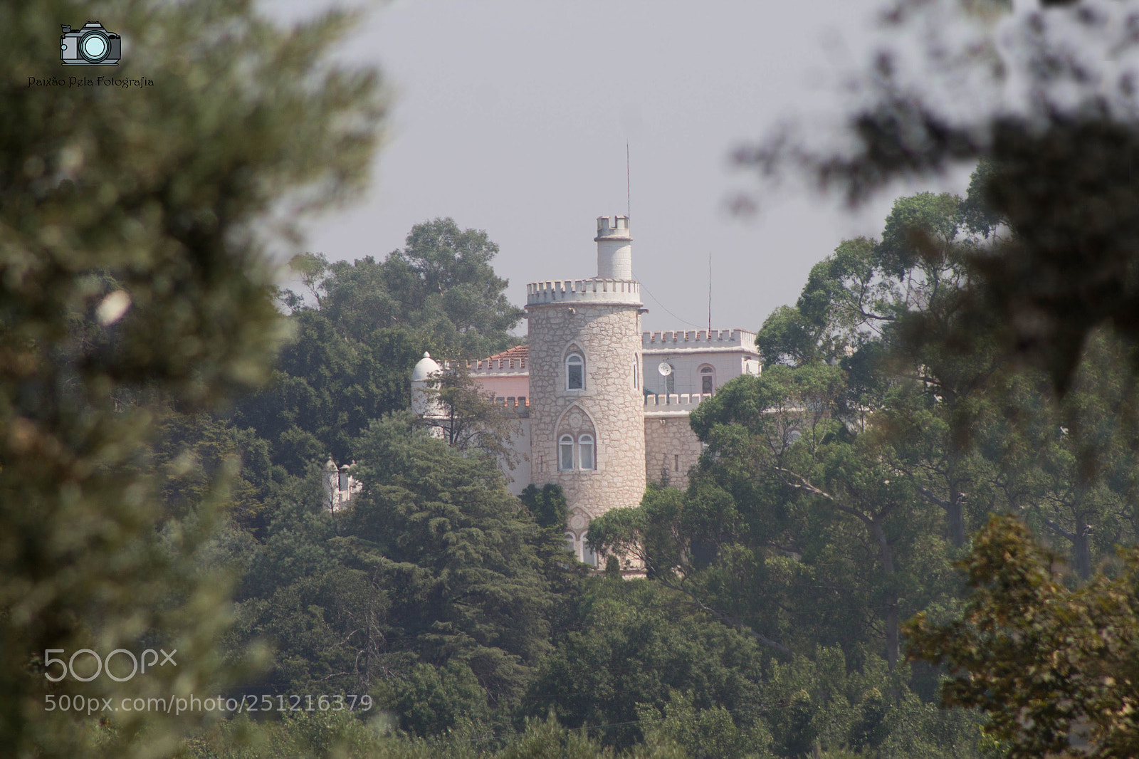 Canon EOS 1100D (EOS Rebel T3 / EOS Kiss X50) sample photo. Castelo da anadia photography