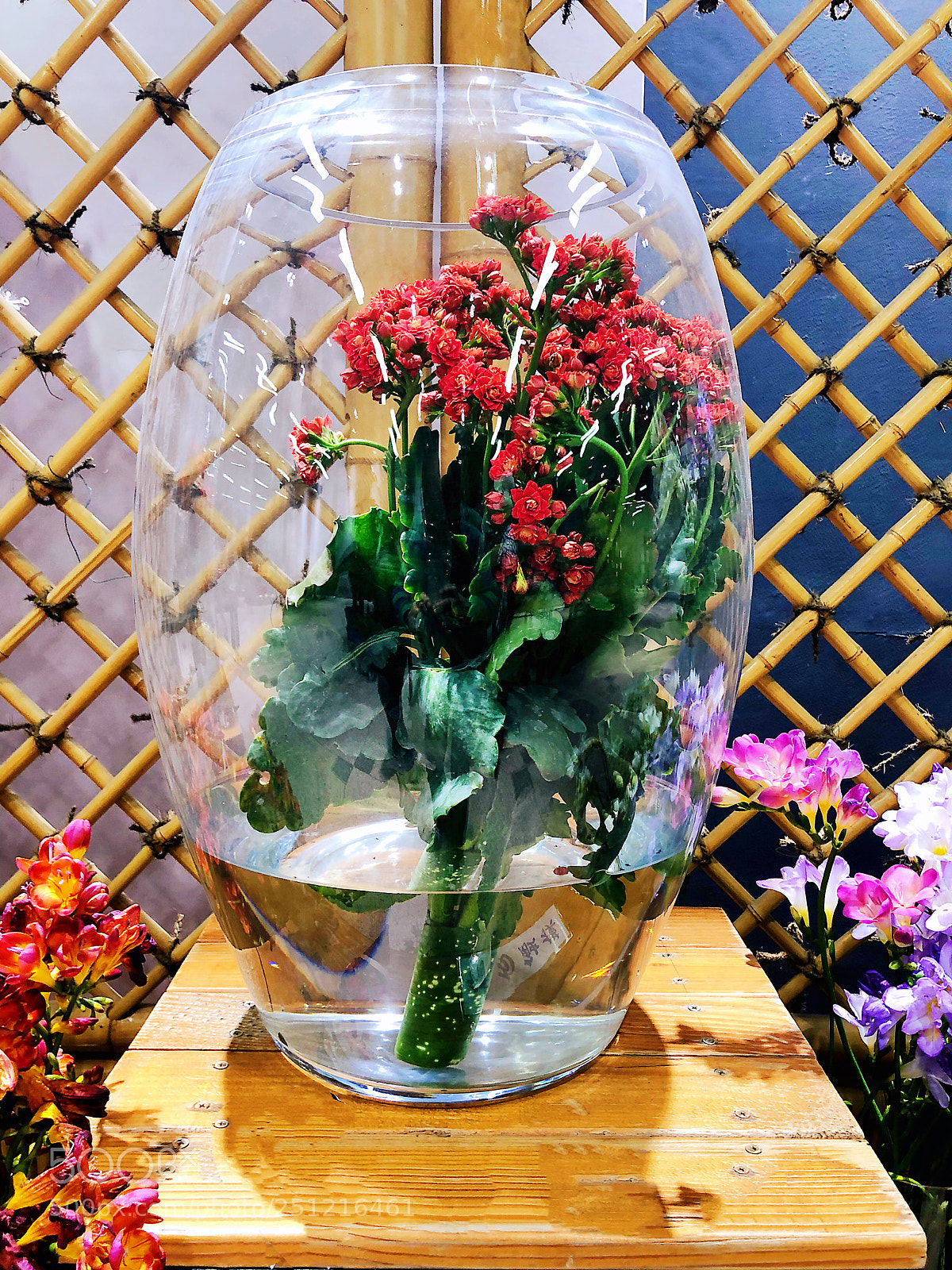 Apple iPhone X sample photo. Untitled photography