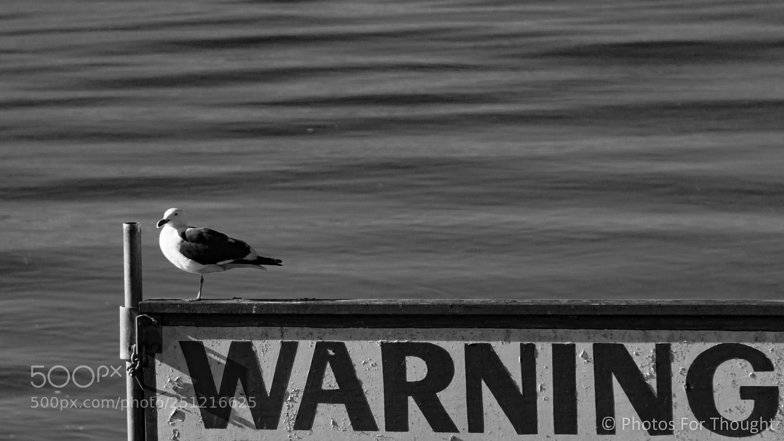 Sony a6000 sample photo. Daredevil photography