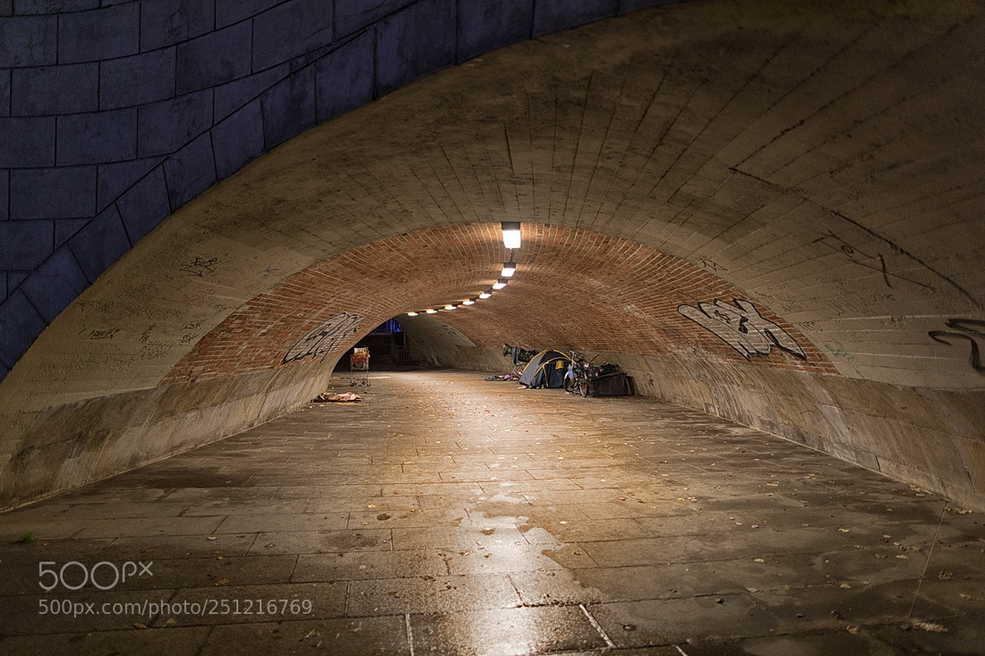 Canon EOS 5D Mark IV sample photo. Under the bridge photography