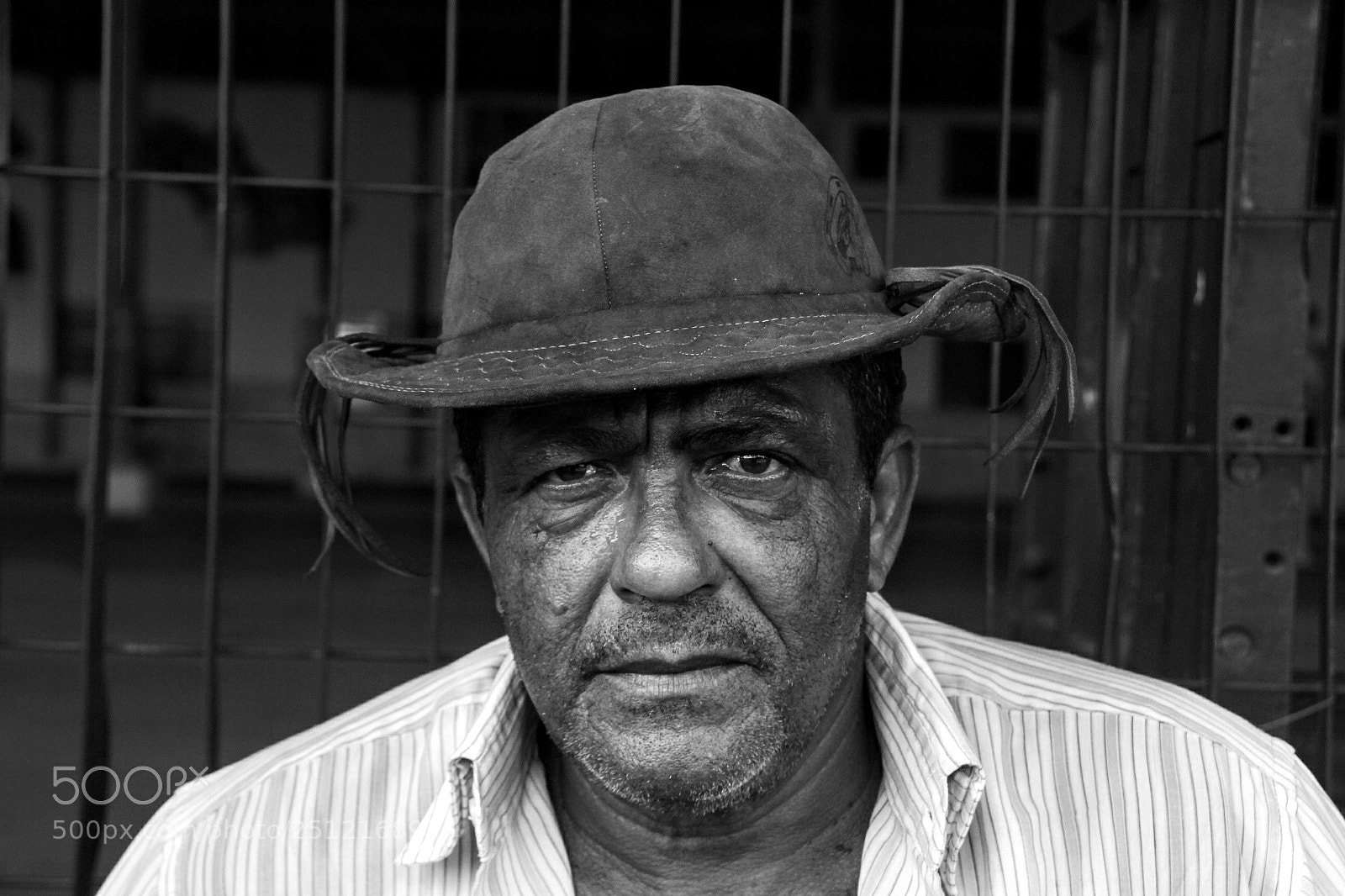 Canon EOS 60D sample photo. Untitled photography