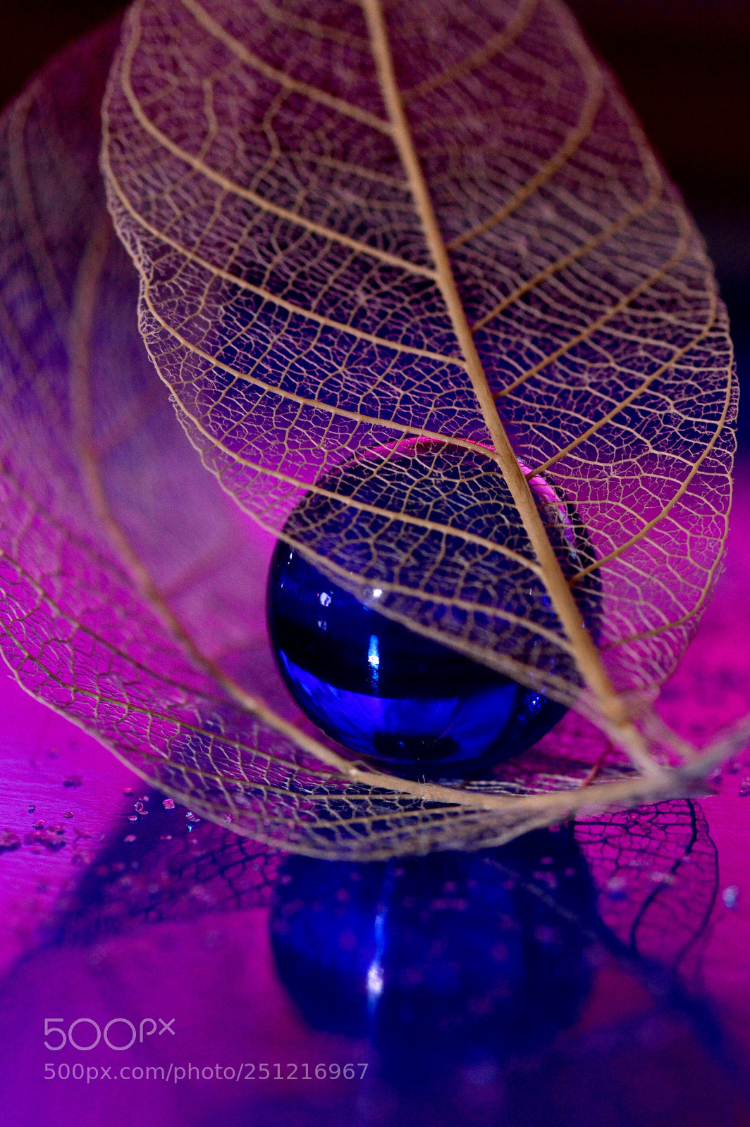 Nikon D3200 sample photo. Sexy... photography