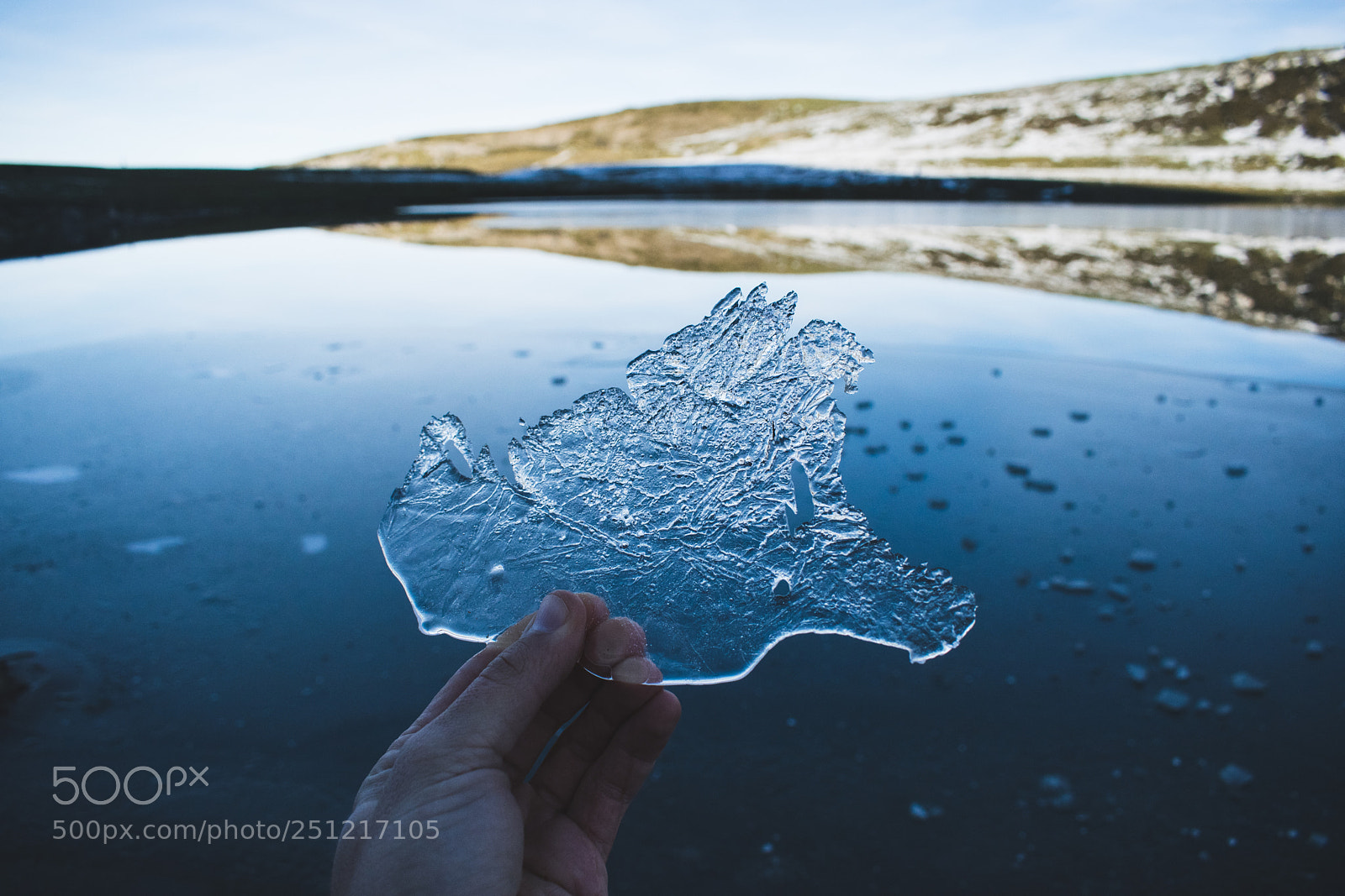 Nikon D5300 sample photo. Frozen photography