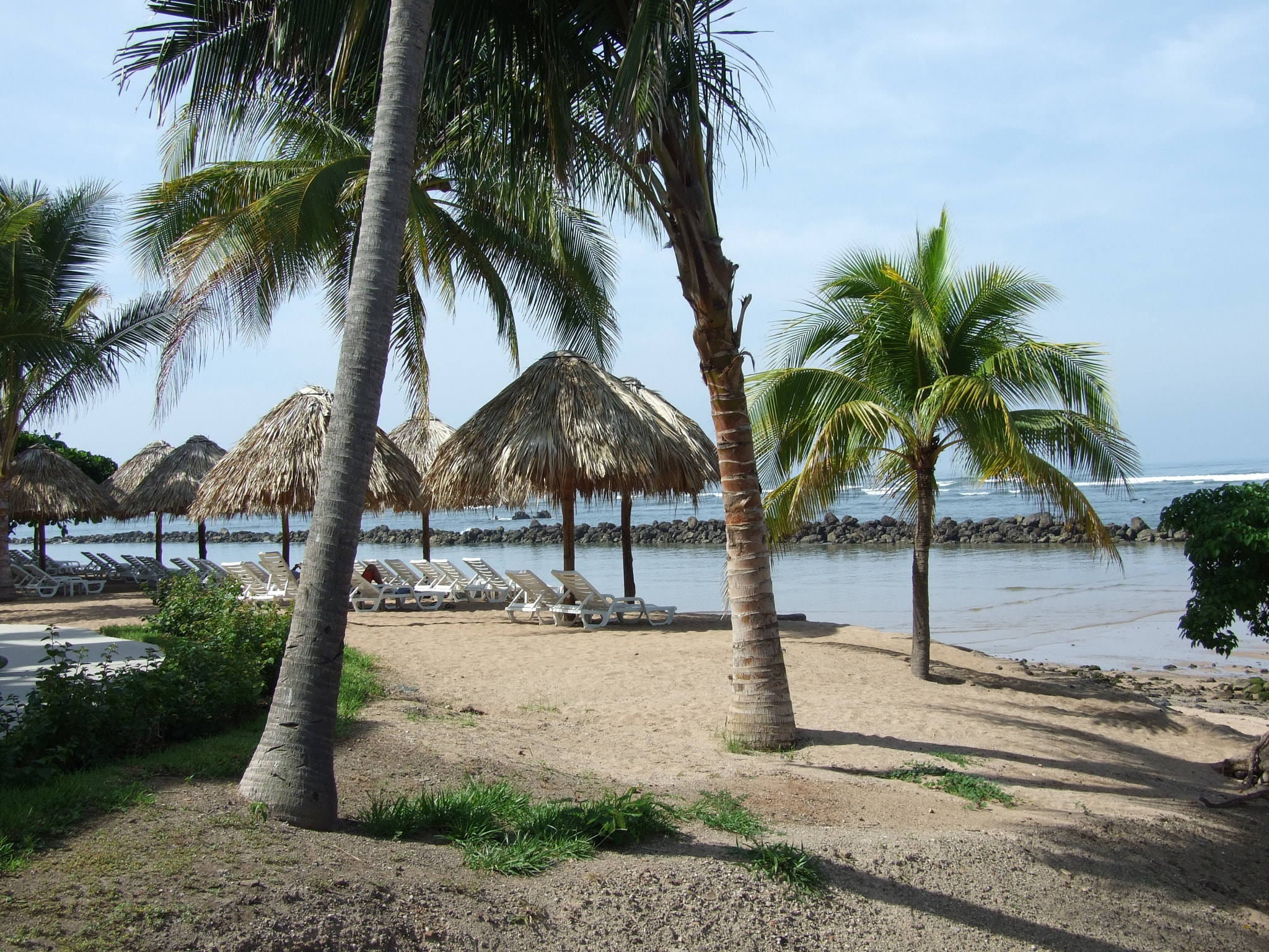 Fujifilm FinePix S6000fd sample photo. El salvador palm trees photography