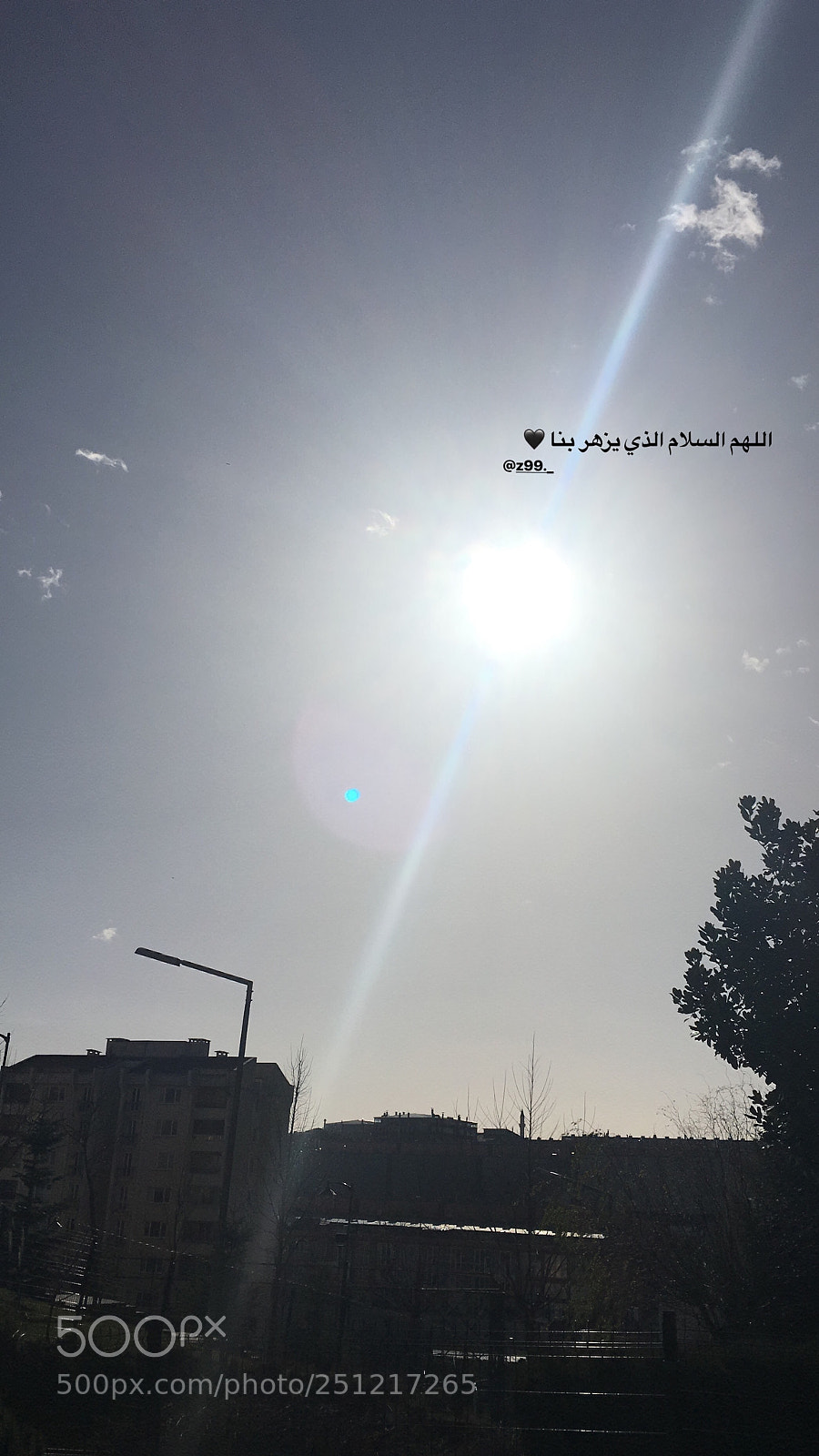 Apple iPhone 6s Plus sample photo. Untitled photography