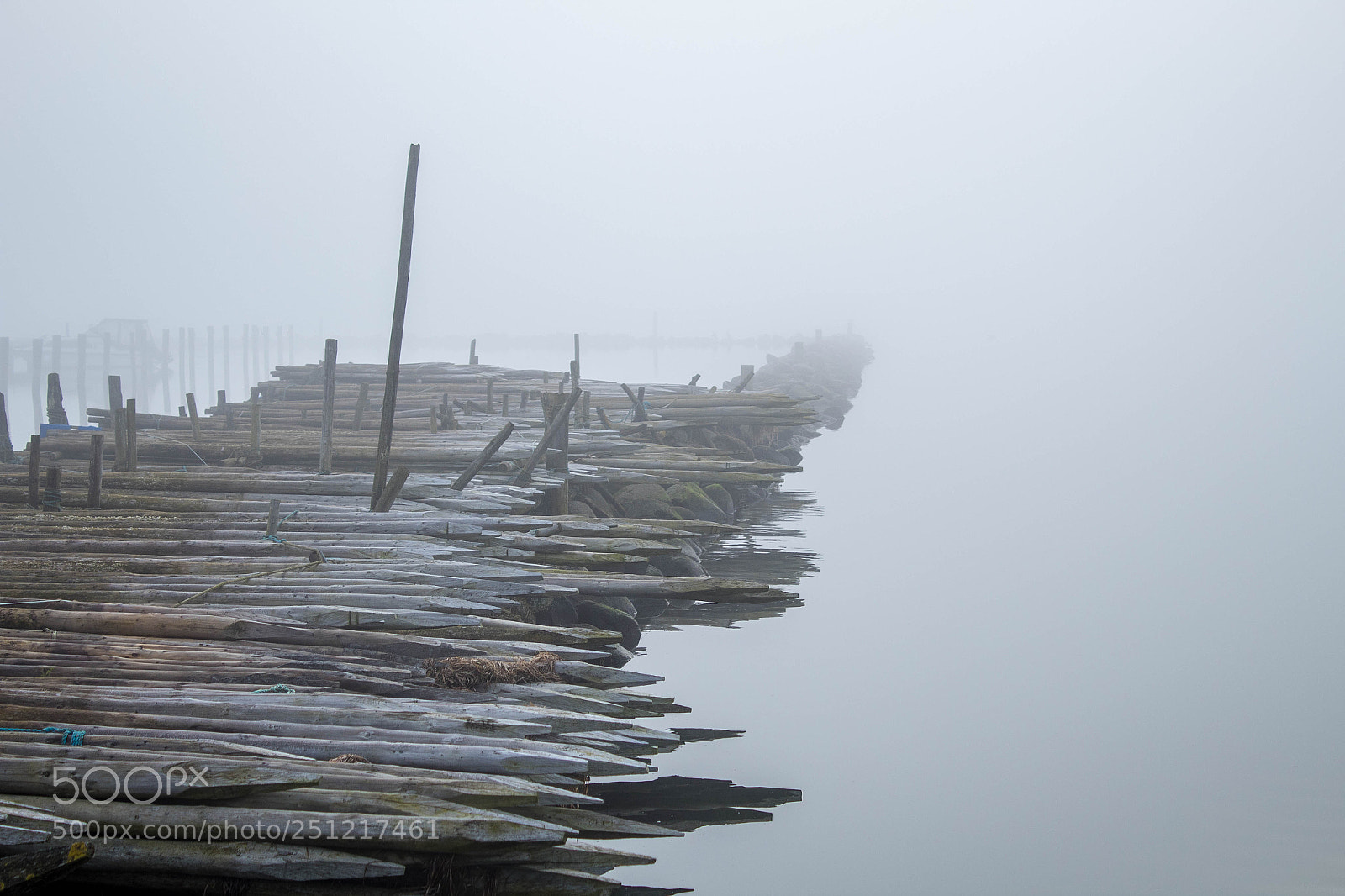 Canon EOS 1300D (EOS Rebel T6 / EOS Kiss X80) sample photo. Lr photography