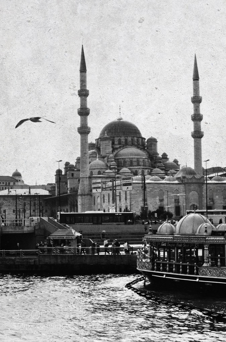 Nikon D5100 sample photo. Istanbul, turkey. photography