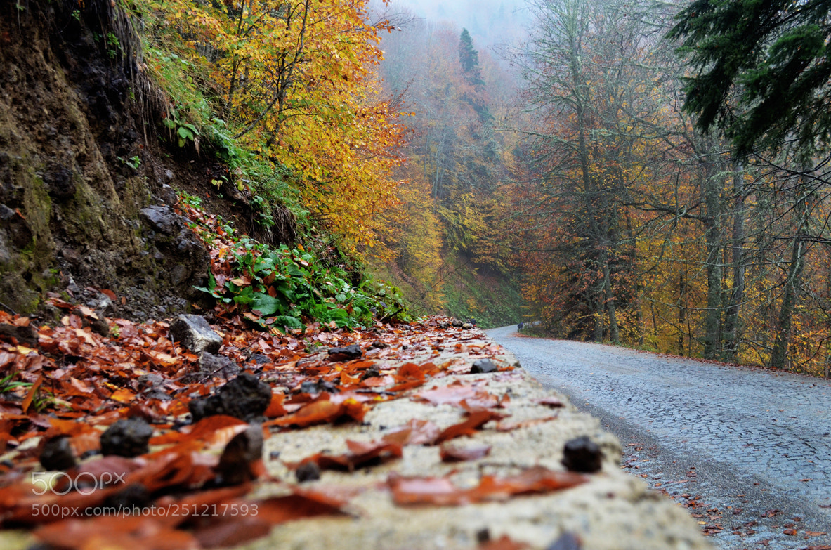 Nikon D5100 sample photo. Yedigoller. photography
