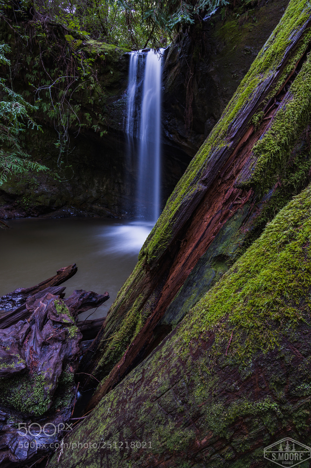 Nikon D7200 sample photo. Sempervirens falls photography