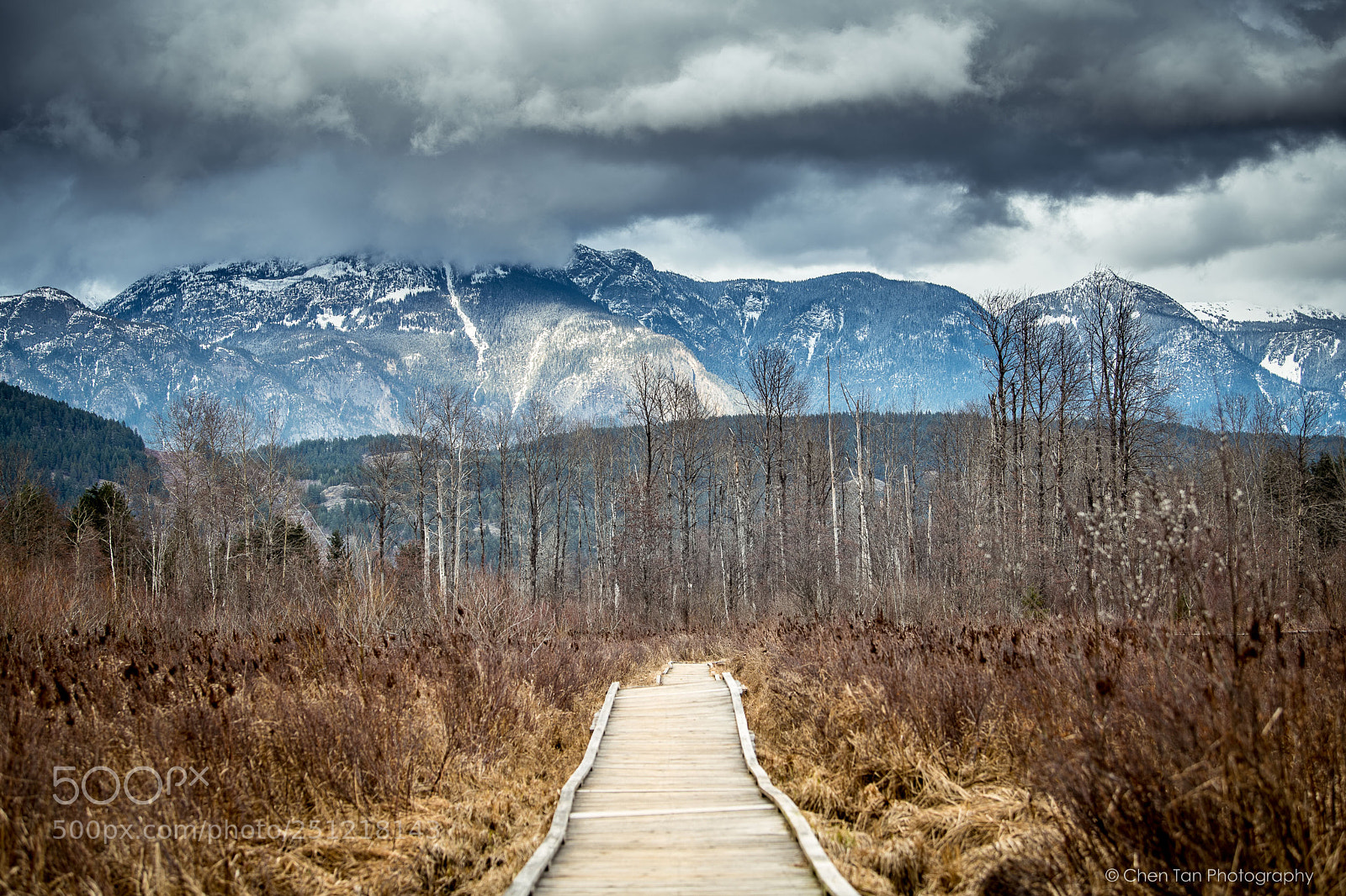 Nikon D850 sample photo. Green lake trail into photography