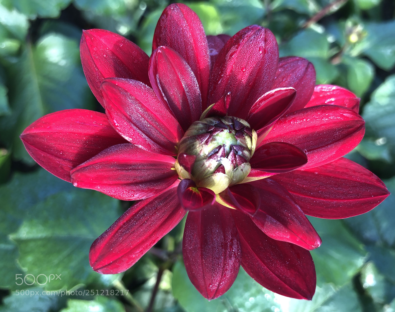 Apple iPhone X sample photo. Untitled photography