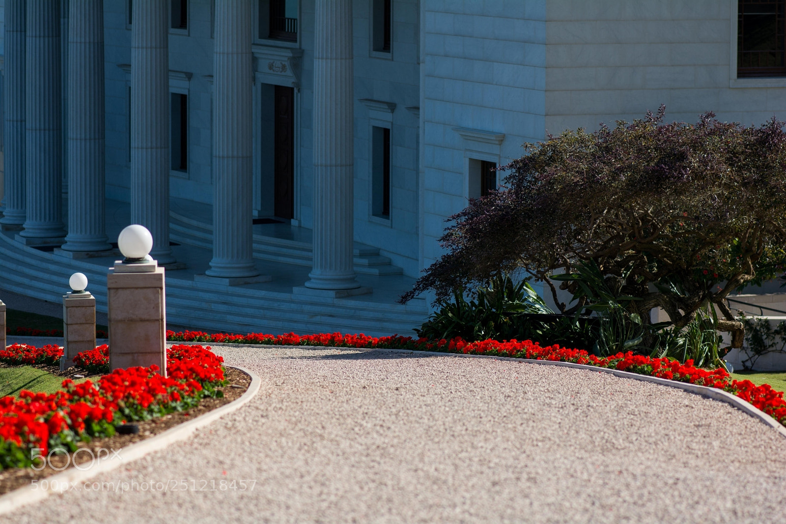 Nikon D7100 sample photo. Untitled photography