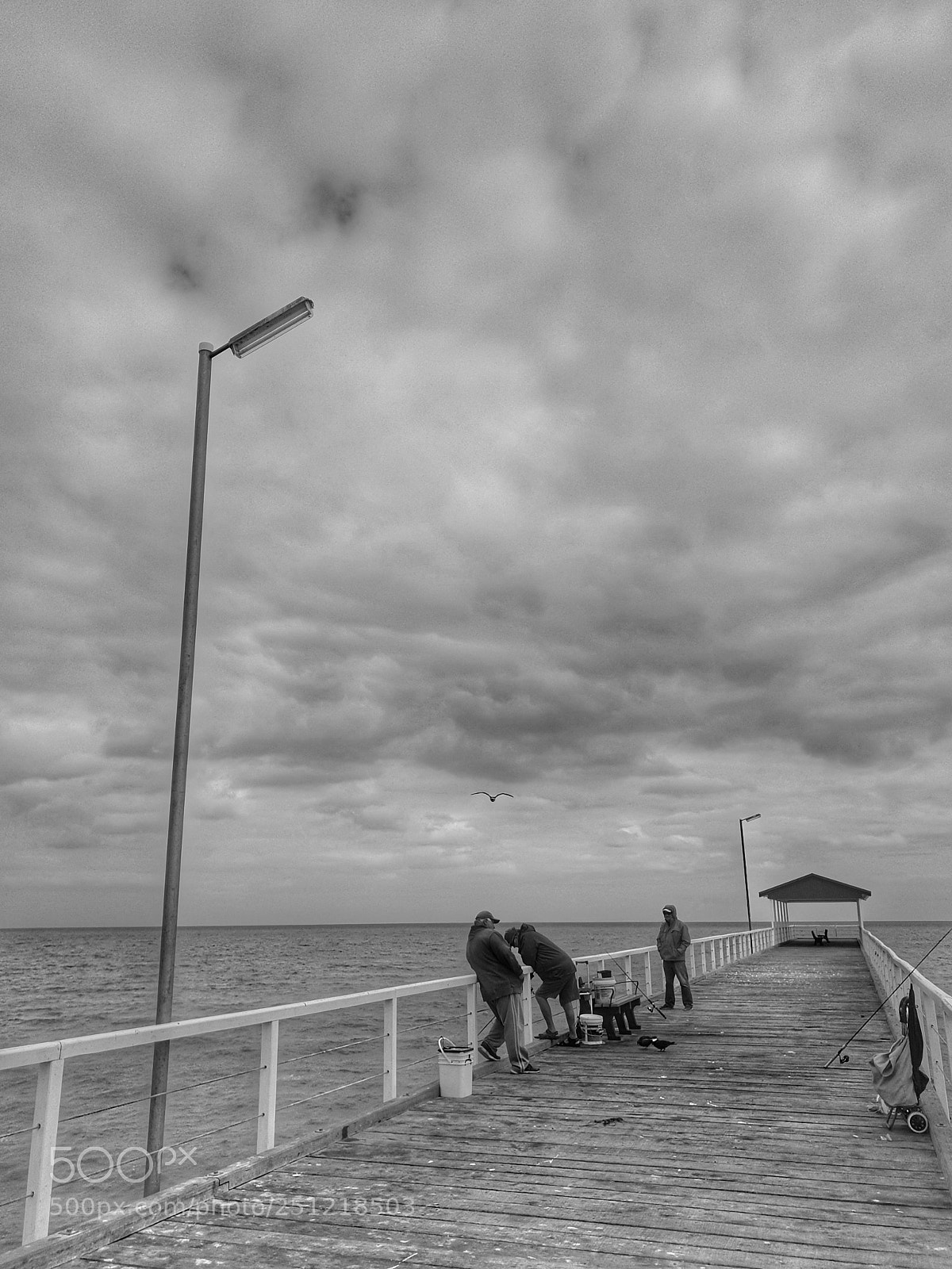 Samsung Galaxy S9+ sample photo. On the jetty fishing photography