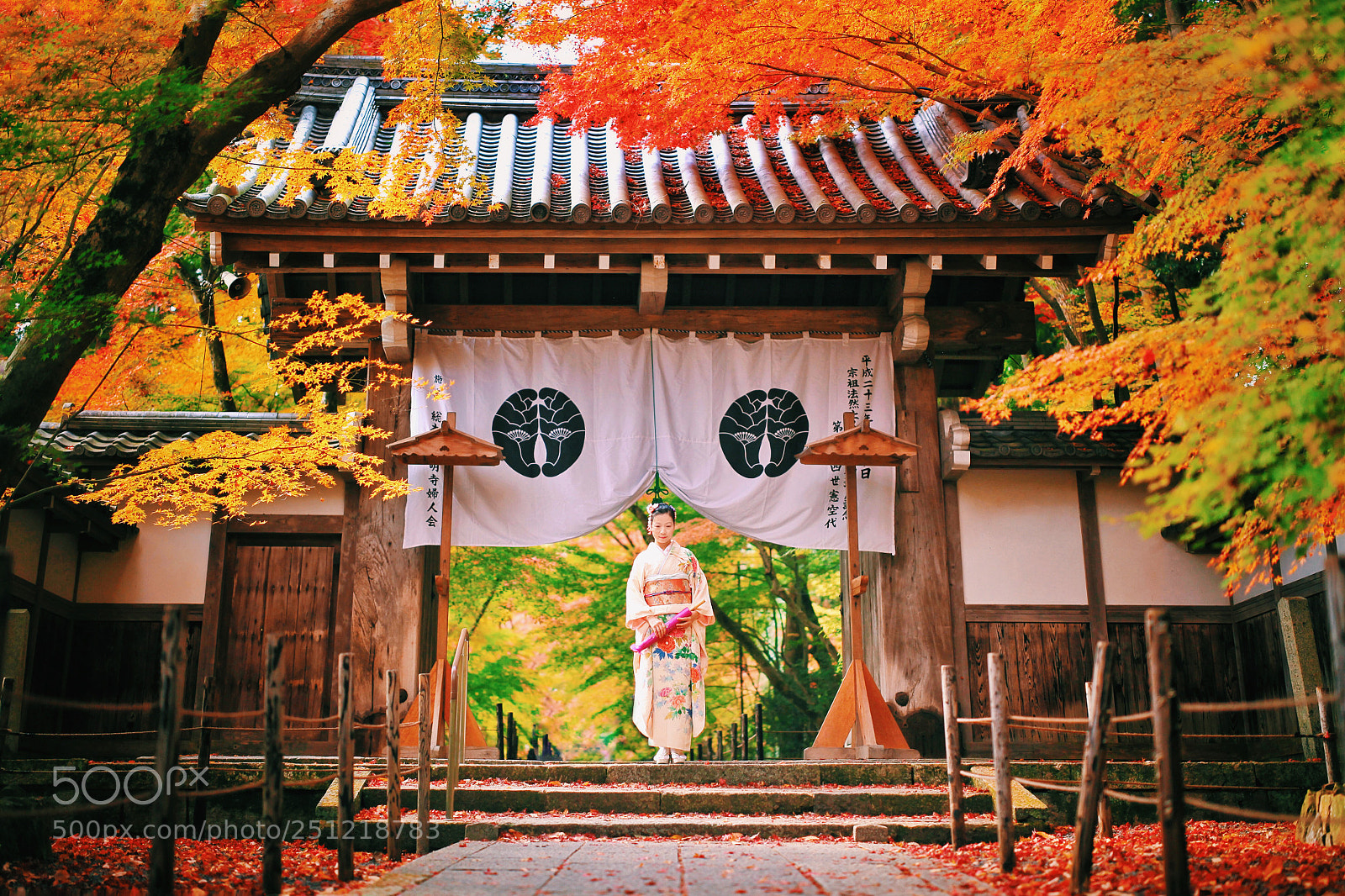 Canon EOS 5D Mark II sample photo. 京都红叶季 photography