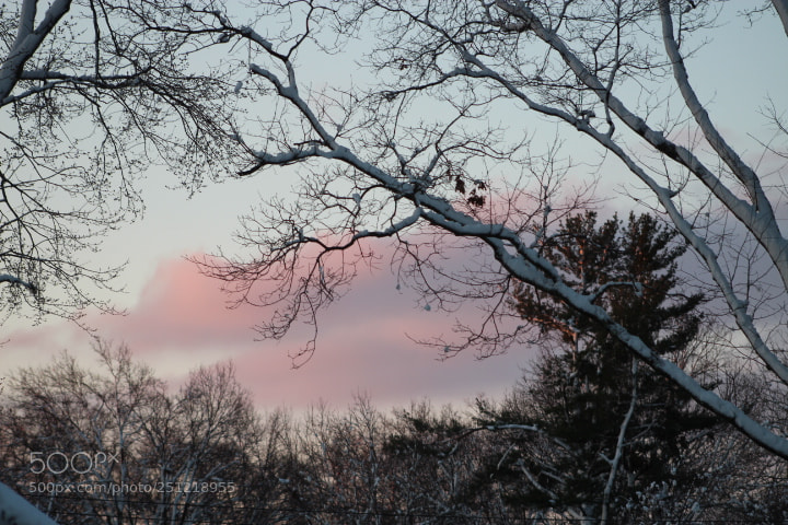 Canon EF 75-300mm f/4-5.6 sample photo. Untitled photography