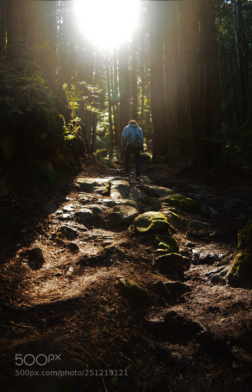 Nikon D3200 sample photo. Path to the sun photography