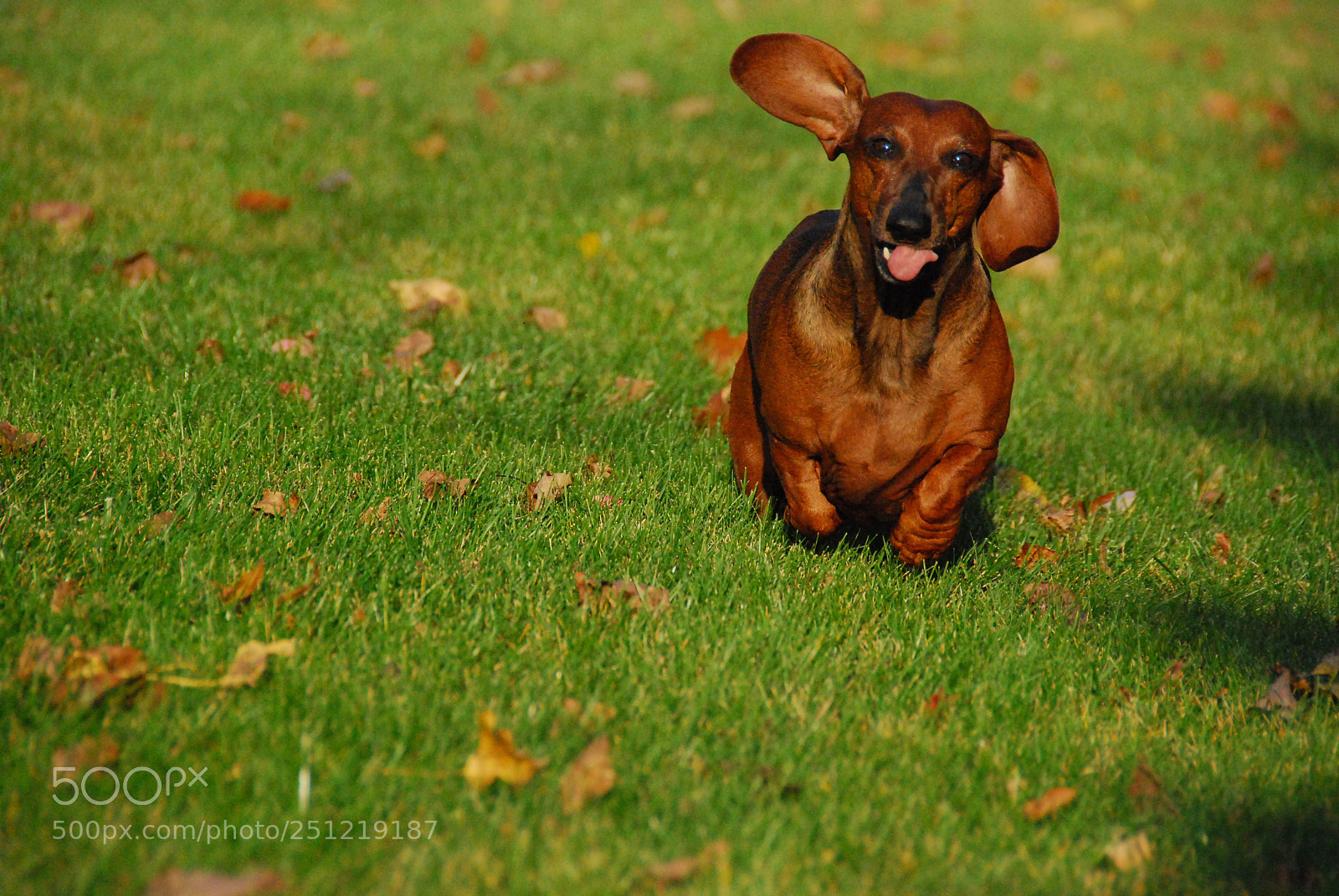 Nikon D80 sample photo. Untitled photography